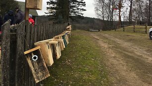 Žiūrų kaime sumeistravo 102 inkilus