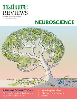 Leidėjo iliustr./„Nature Reviews Neuroscience“ viršelis