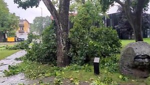 audra-siautejo-panevezyje