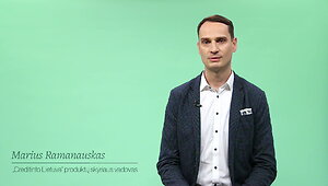 klausiate-guglo-atsako-ekspertas-kaip-veikia-kredito-biurai-kas-gali-matyti-jusu-duomenis-ir-kas-sprendzia-ar-gausite-paskola