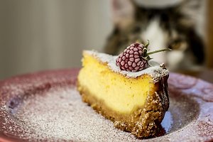 Moliūgų ir varškės pyragas (Rūtos K. receptas)