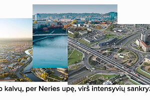 Vilniaus Žirmūnų gimnazija (2f klasės mokinė)