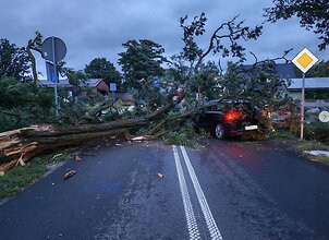 Audra talžo Lenkiją: lūžta medžiai, tūkstančiai liko be elektros, evakuojamos stovyklos