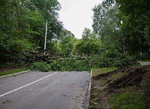 Galinga audra Lietuvoje siautėjo dvi paras: žmonės liko be elektros ir vandens, normalus gyvenimas gali grįžti tik po penkių parų