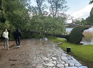 Audra nusiaubė Trakus ir Vilnių: i&scaron;vartyti medžiai