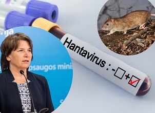 &bdquo;Hantavirusų yra ir Lietuvoje&ldquo;: imunologė &ndash; ką apie užsikrėtimą turi žinoti lietuviai