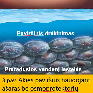 3 pav