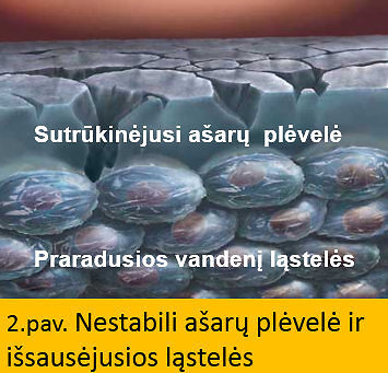 2 pav