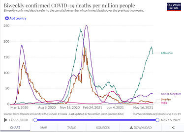 „OurWorldInData“ duom./Gretutinis pasirinktų šalių COVID-19 atvejų ir mirčių 1 mln. gyventojų palyginimas 