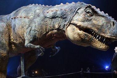 Tiranozauras (T.rex)