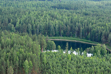 Kauno miškų ir aplinkos inžinerijos kolegija