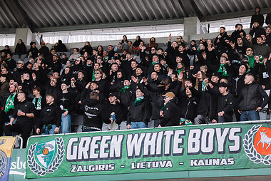 &bdquo;Green White Boys&ldquo; (GWB)