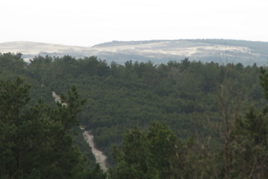 Kuršių nerijos nacionalinis parkas