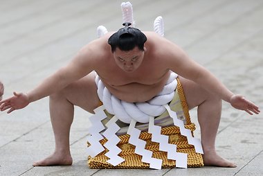 Sumo