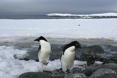 Ekspedicija „Antarktida 2011“
