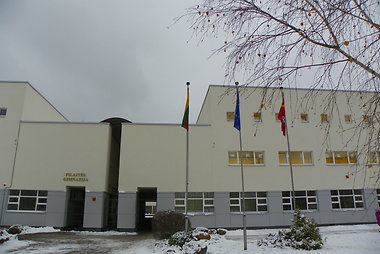 Vilniaus Pilaitės gimnazija