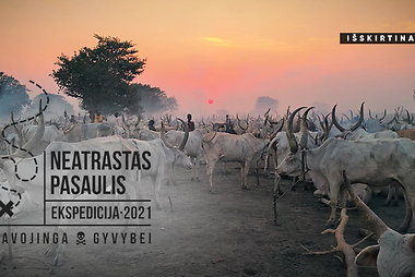 „Ekspedicija: neatrastas pasaulis”