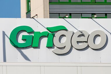 &bdquo;Grigeo group&ldquo;