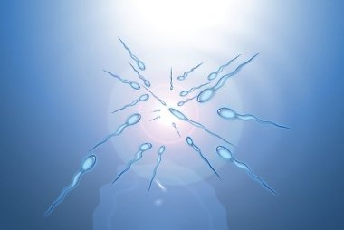 Spermograma