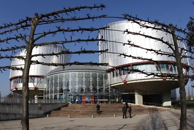 Europos Žmogaus Teisių Teismas (EŽTT)