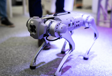 Tecnologijų kompanijos &bdquo;Accenture&ldquo; &scaron;uo robotas