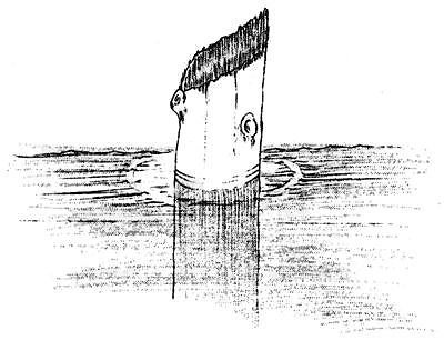Wikipedia.org nuotr./1938 metais pieštas Senolio eskizas