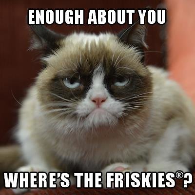 Friskies nuotr./ Piktasis katinas (angl. „Grumpy cat“)