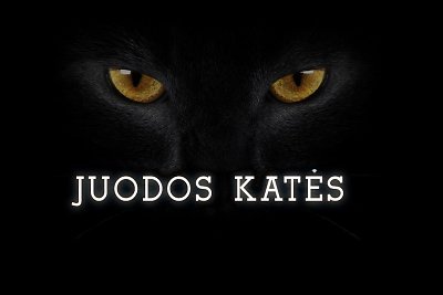 Naujausias Edvino Kalėdos serialas „Juodos katės“ – apie vyrus valdančias moteris-kates