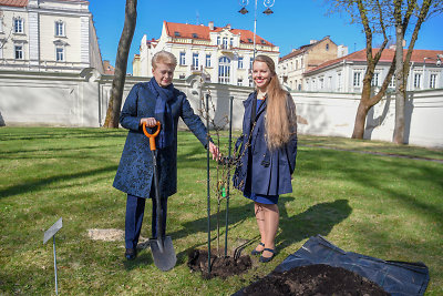 Kviesdama prisijungti prie pavasarinio aplinkos tvarkymo Prezidentė Dalia Grybauskaitė pasodino ąžuoliuką