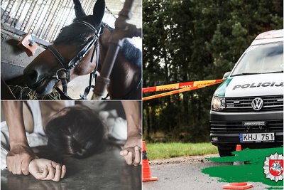 Lietuvos jojikui – teismas dėl 20-metės raitelės išžaginimo garsaus verslininko žirgyne