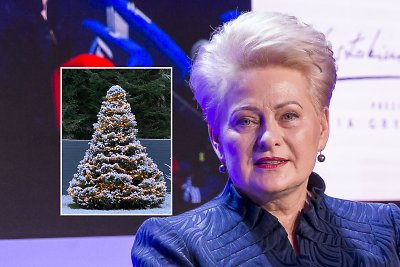 Dalia Grybauskaitė, jos Kalėdų eglė