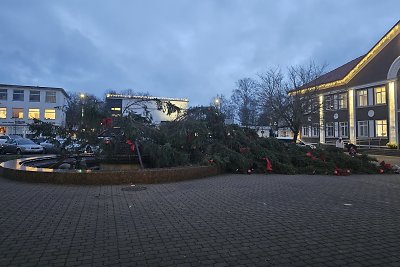 Nesulaukė Kalėdų – stiprus vėjas nuvertė Gargždų, Šilalės, Raseinių ir Mažeikių eglutes