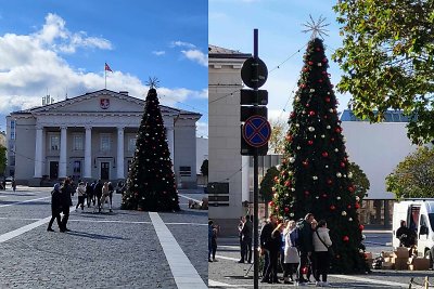 Vilniaus Rotušės aikštėje išdygo Kalėdų eglė – bus filmuojama reklama