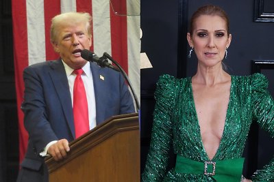 Donaldas Trumpas, Celine Dion