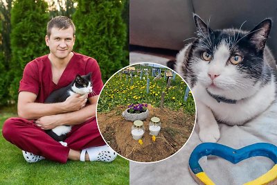 „TV gelbėtojas“ veterinaras P.Morkūnas gedi žuvusio 18-mečio Murkio: „Likimas viską sudėjo ne taip“