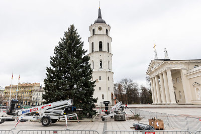 Vilniuje pradėta statyti Kalėdų eglutė