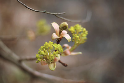 Trečiadienio horoskopas – balandžio 19 d.