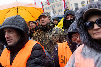 Vilniuje prasidėjo žemdirbių mitingas