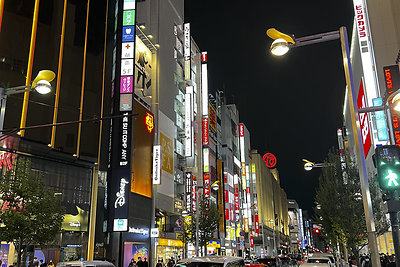 Japonijoje yra ką pamatyti: nuo restoranų gausa išsiskiriančių rajonų šalia 634 metrų aukščio Tokijo televizijos bokšto „Skytree“ iki Niko bei Hakonės miestų, garsėjančių tradicine architektūra ir nuostabia gamta 