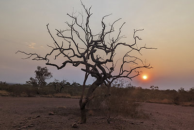 Vakarų Australija turi tris milijonus gyventojų, didžioji dalis įsikūrusi Perte. Todėl išvažiavęs iš didmiesčio gali labai ilgai nesutikti nė vieno žmogaus