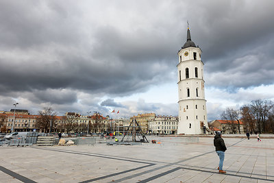 Vilniaus Kalėdų eglės statymo darbai