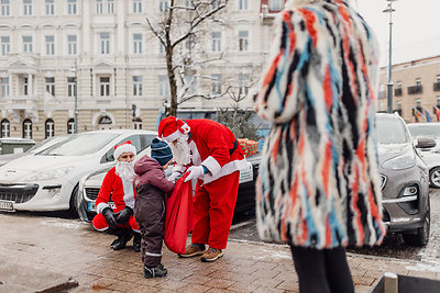 Kalėdų seneliai kviečia aukoti beglobiams gyvūnams