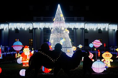  Pakruojo dvaro žiemos festivalio „Besmegenių vestuves“ atidarymas