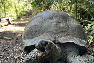 Kristės Kaikarytės akimirka Afrikoje