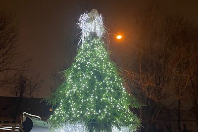 Kalėdų eglutė senamiestyje