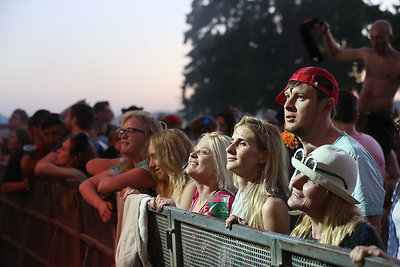 Festivalio „Bliuzo naktys 2015“ akimirka