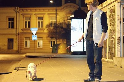 Andrius Paulavičius vedžioja kiaulaitę.