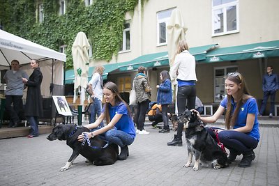 „Lietuva – gyvūnams“ renginio akimirka