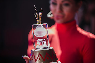 Ceremonijos „Auksiniai svogūnai 2015“ akimirka