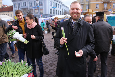 Romualdas Mačiulis